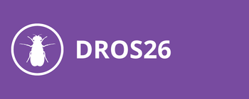 Dros26