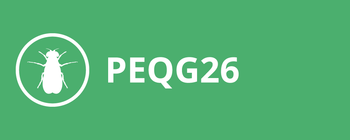 PEQG26