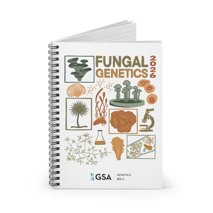 Fungal 2026 Essentials Bundle