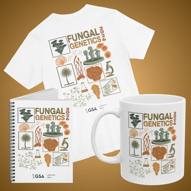Fungal 2026 Essentials Bundle